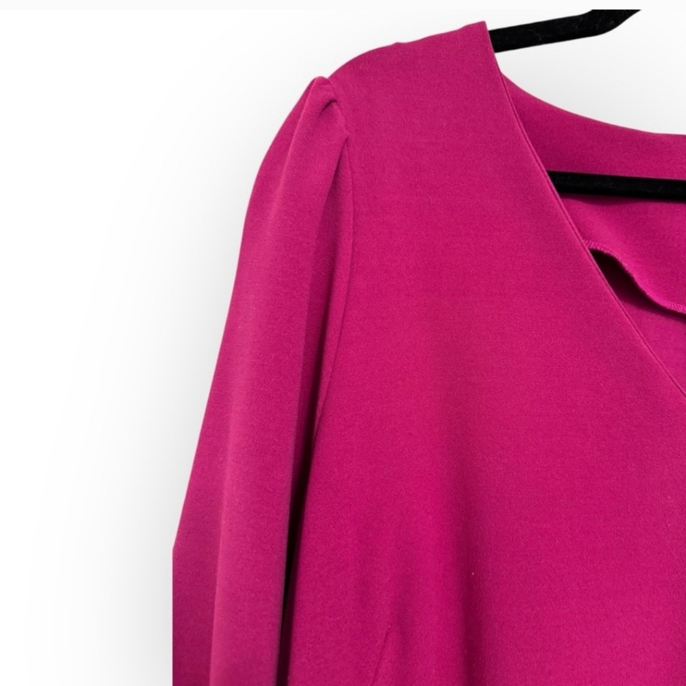 ALEXIA ADMOR Shift Dress, XL, Raspberry - Picture 11 of 14